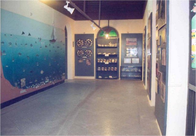 Ecology conservation programme in Nhava through the Marine Museum